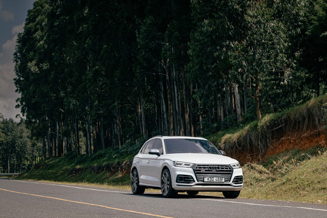 Audi Q5 Lastik Basıncı ve Jant Uyum Rehberi